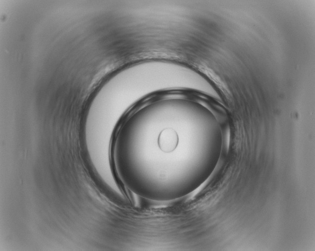 X0000089940207200706291231