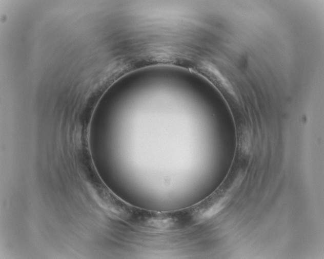 X0000089940213200706291230