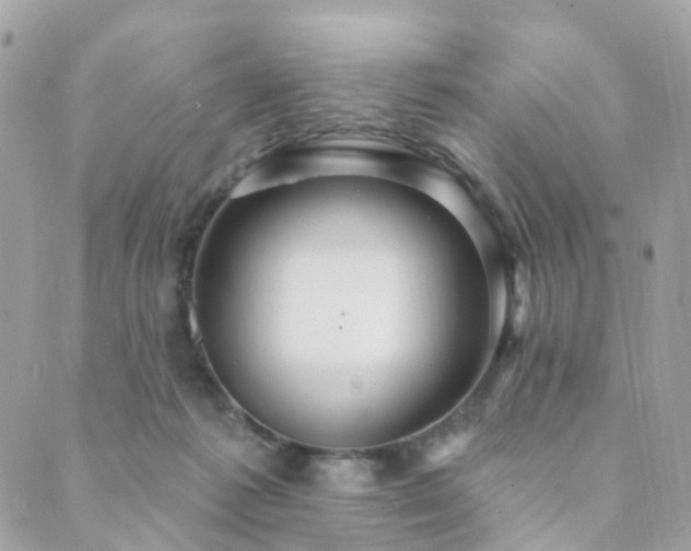 X0000089940221200706291230