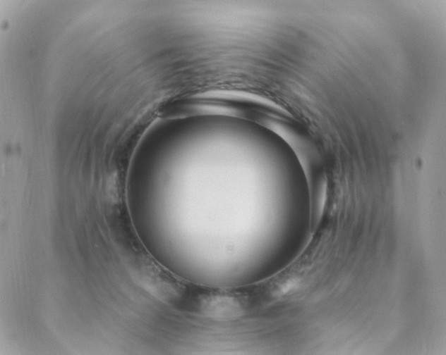 X0000089940224200706291230