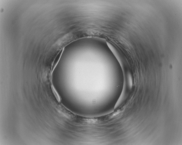 X0000089940233200706291230