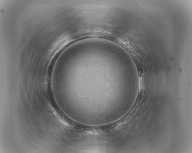 X0000089940243200706291229