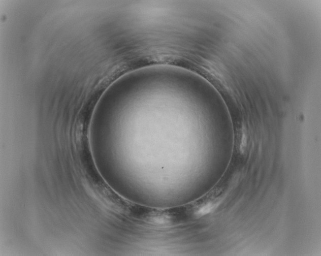 X0000089940263200706291230