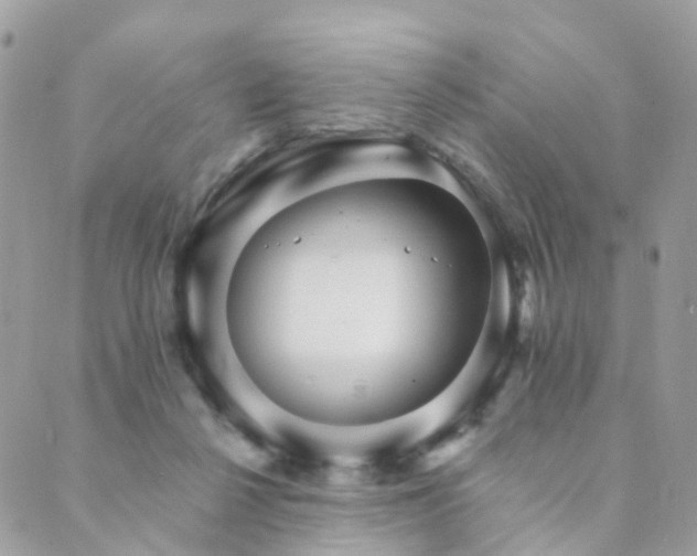 X0000089940264200706291230