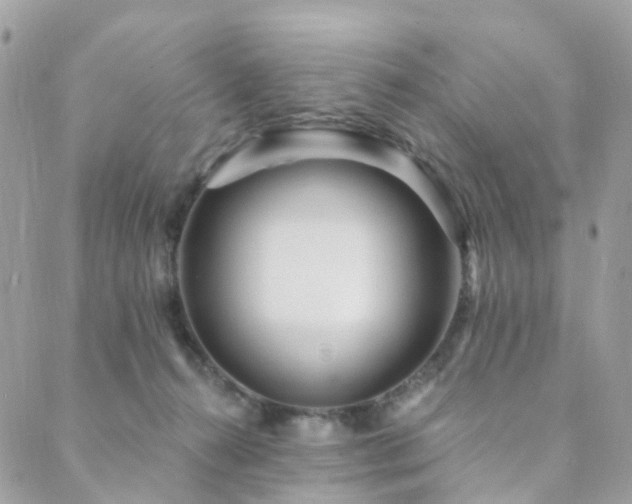 X0000089940272200706291230
