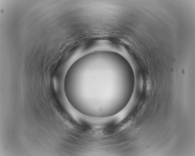 X0000089940276200706291230