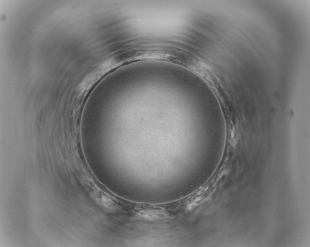 X0000089940337200706291228