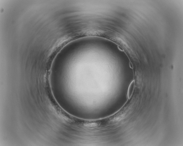 X0000089940357200706291228