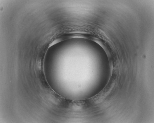 X0000089940368200706291228