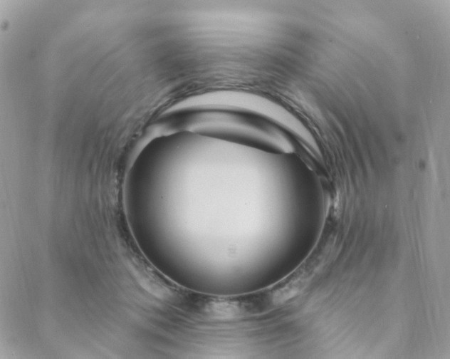 X0000089940413200706291227
