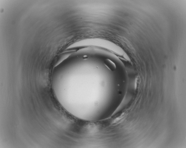X0000089940416200706291227