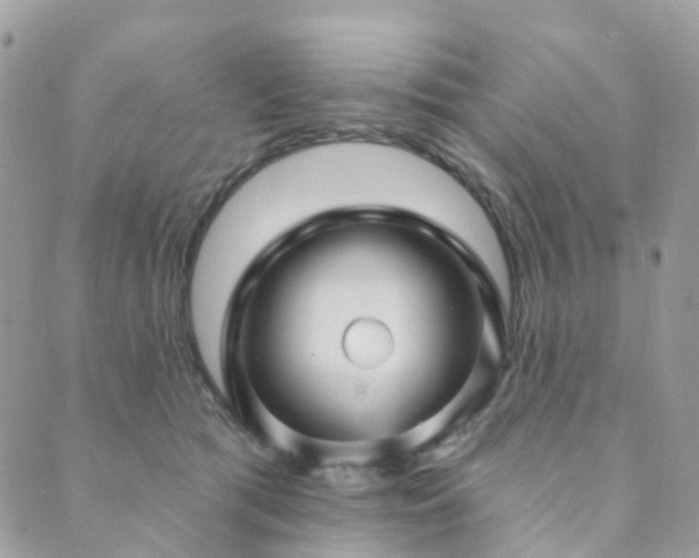 X0000089940417200706291227