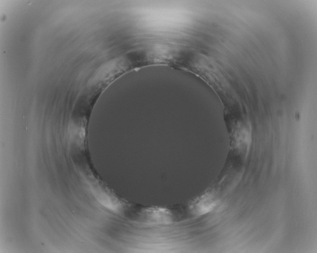 X0000089940427200706291227