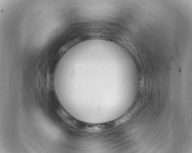 X0000089940430200706291227