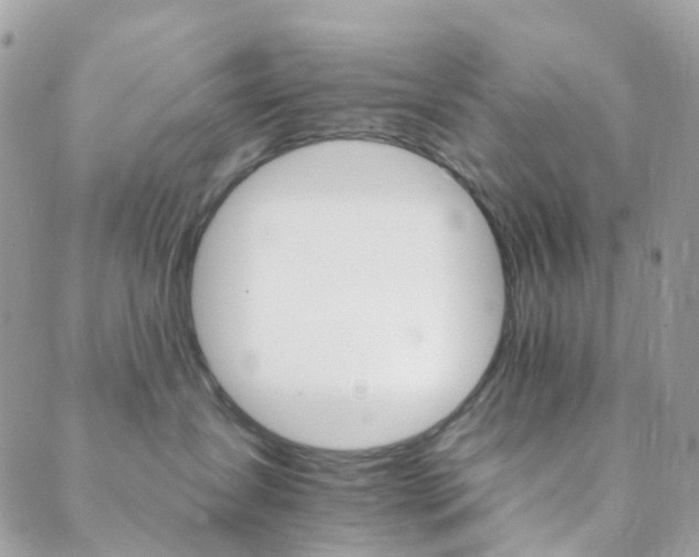 X0000089940431200706291227
