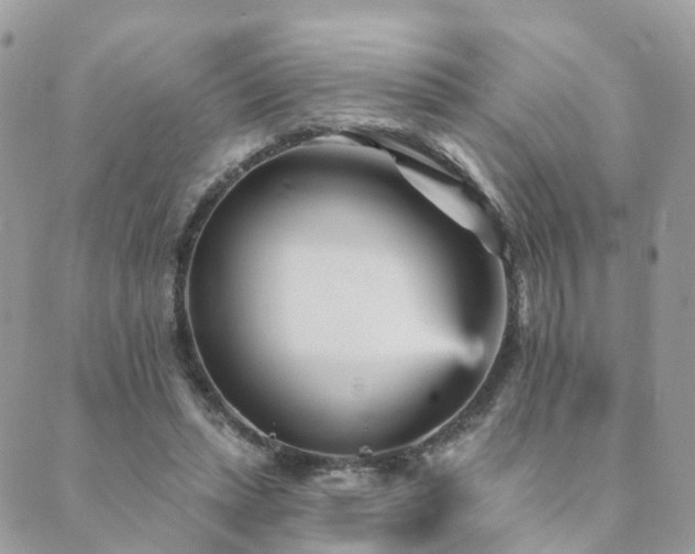 X0000089940447200706291226