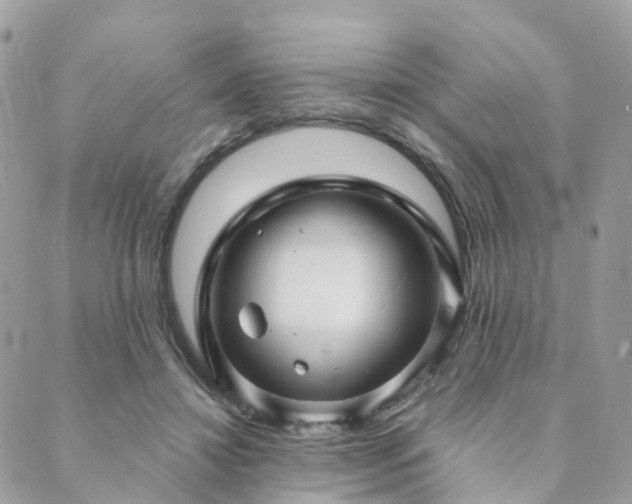 X0000089940452200706291226