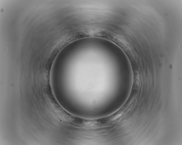 X0000089940461200706291227