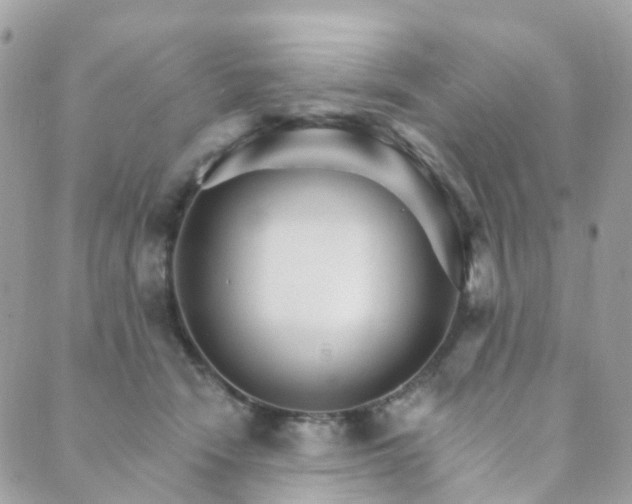 X0000089940466200706291227