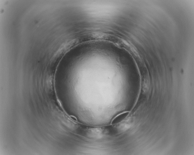 X0000089940473200706291227