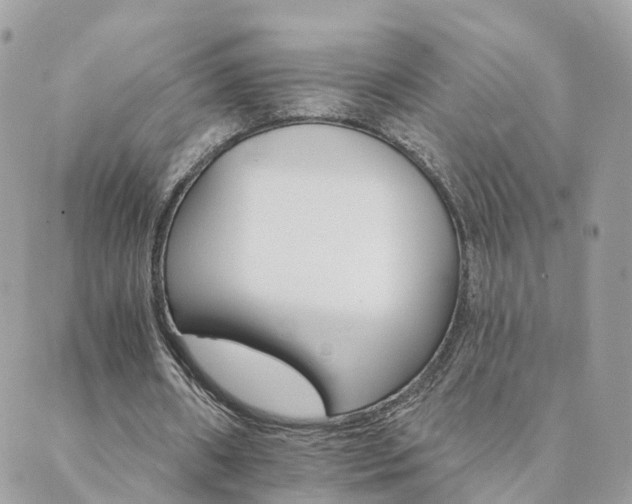 X0000089940482200706291226