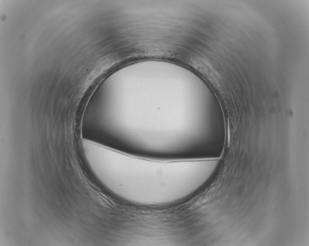 X0000089940483200706291226