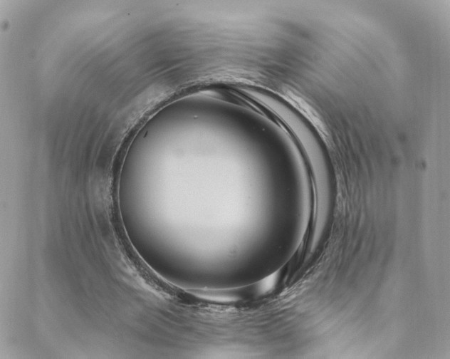 X0000089940485200706291226