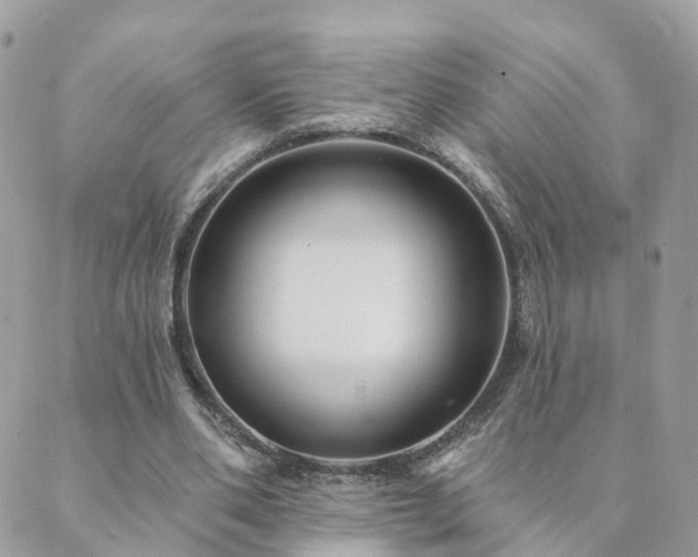 X0000089940486200706291226