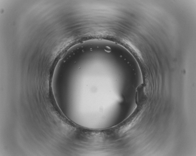 X0000089940493200706291226