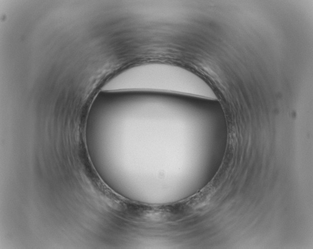 X0000089940504200706291226