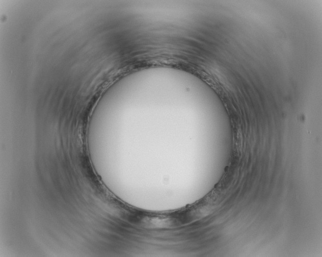 X0000089940506200706291226