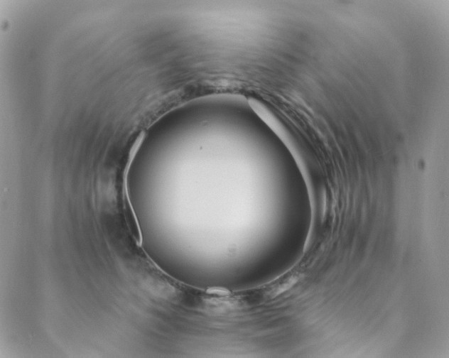 X0000089940516200706291226