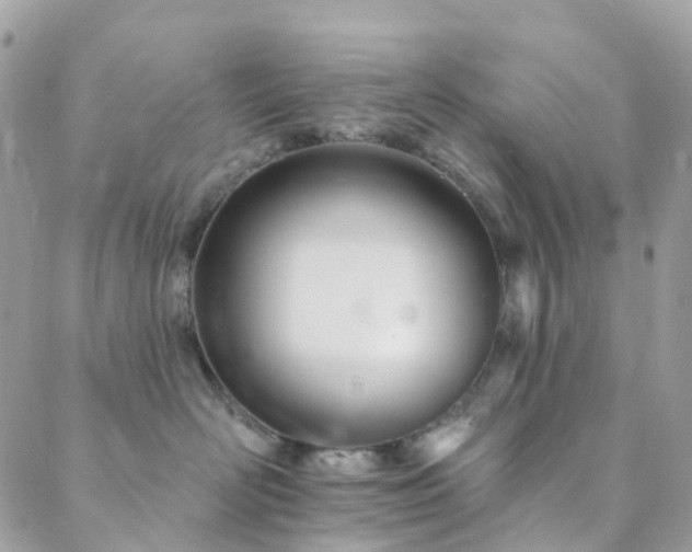 X0000089940526200706291225