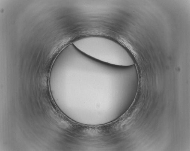 X0000089940537200706291225