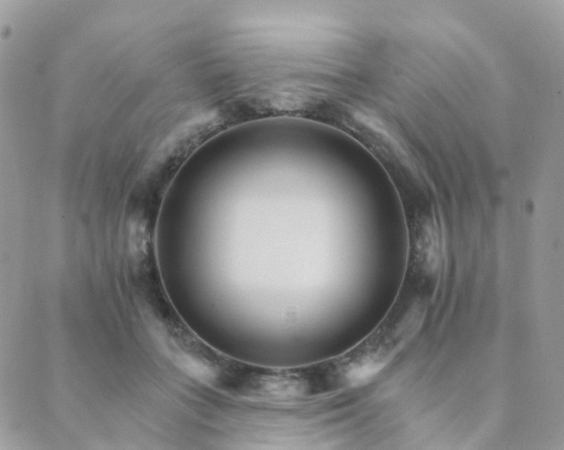 X0000089940555200706291225