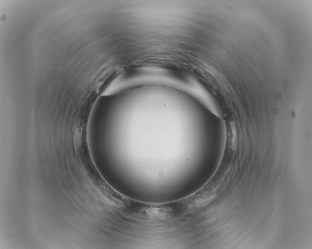 X0000089940558200706291225