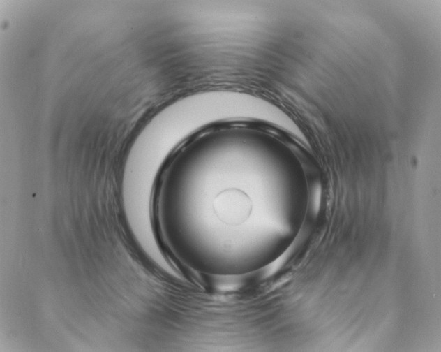 X0000089940560200706291225