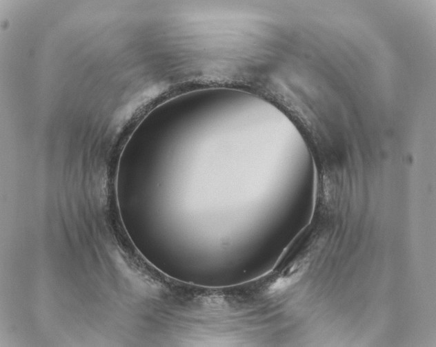 X0000089940588200706291224