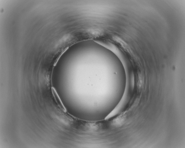 X0000089940613200706291224