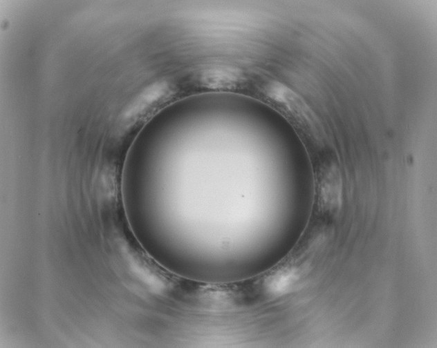 X0000089940620200706291224