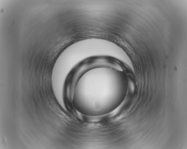 X0000089940621200706291224