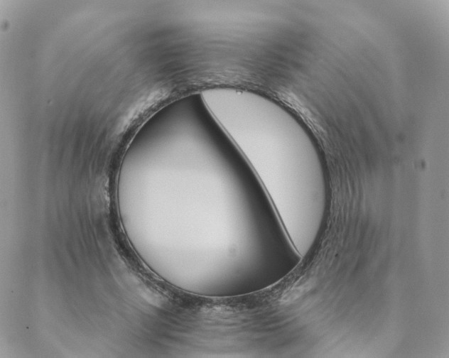 X0000089940634200706291223