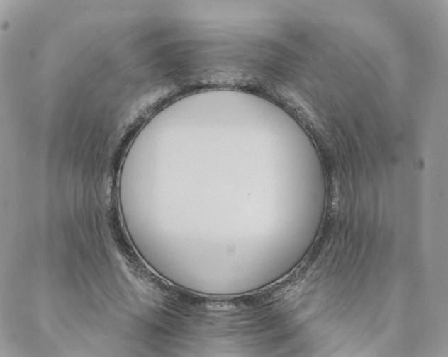 X0000089940636200706291223