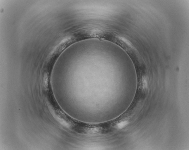 X0000089940646200706291223