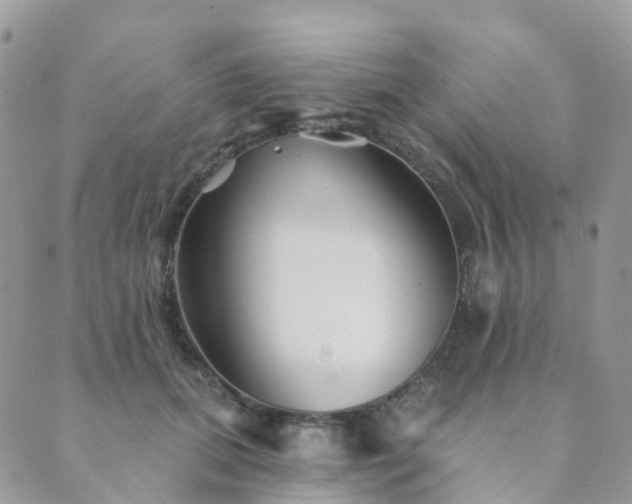 X0000089940655200706291224