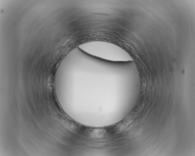 X0000089940663200706291224