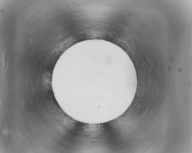 X0000089940672200706291224