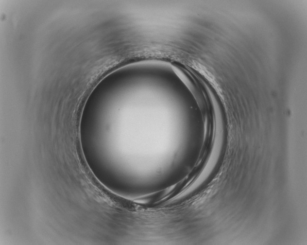 X0000089940673200706291223