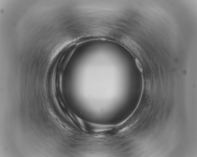 X0000089940676200706291223