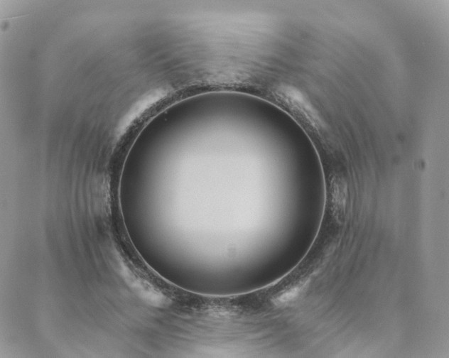 X0000089940684200706291223